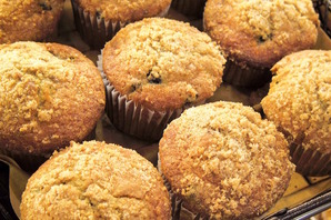 100 calorie SlimFast Advanced Vitality Muffins