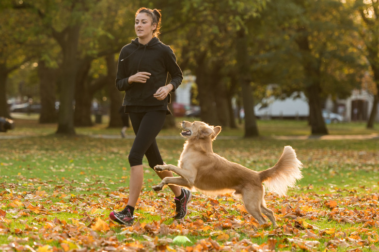 ​Wellbeing Walkies - Top 5 UK walks