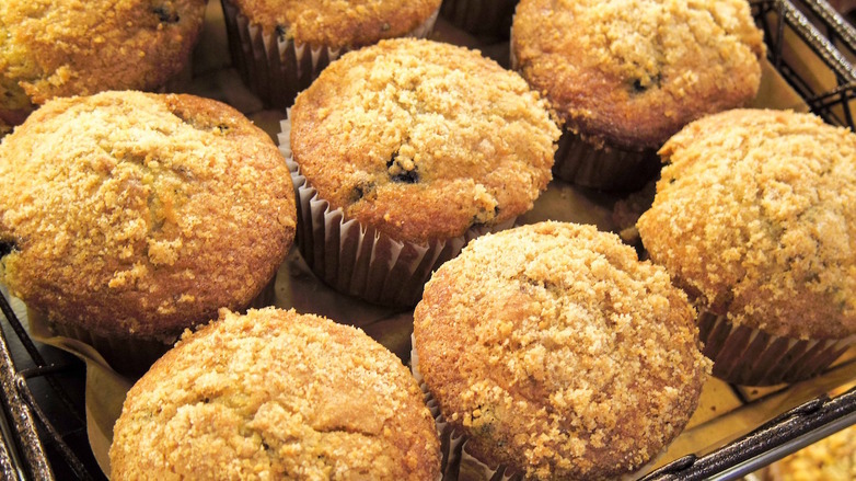 100 calorie SlimFast Advanced Vitality Muffins